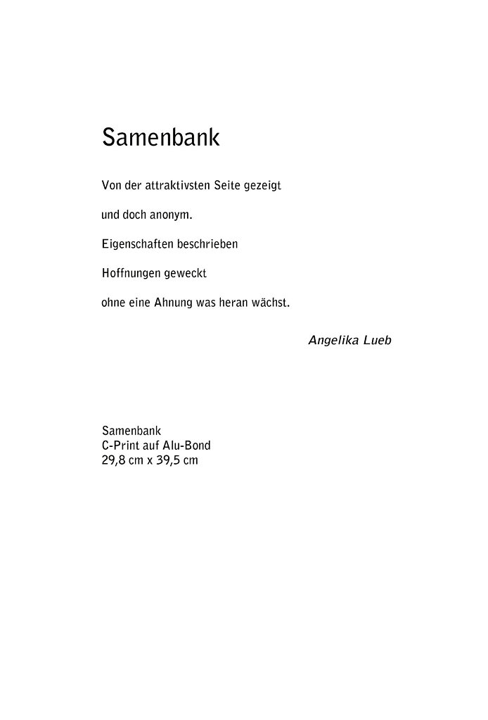 Statment-Samenbank.jpg